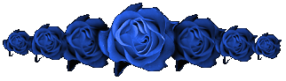 blue rose bar