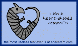 I am a heart-shaped armadillo